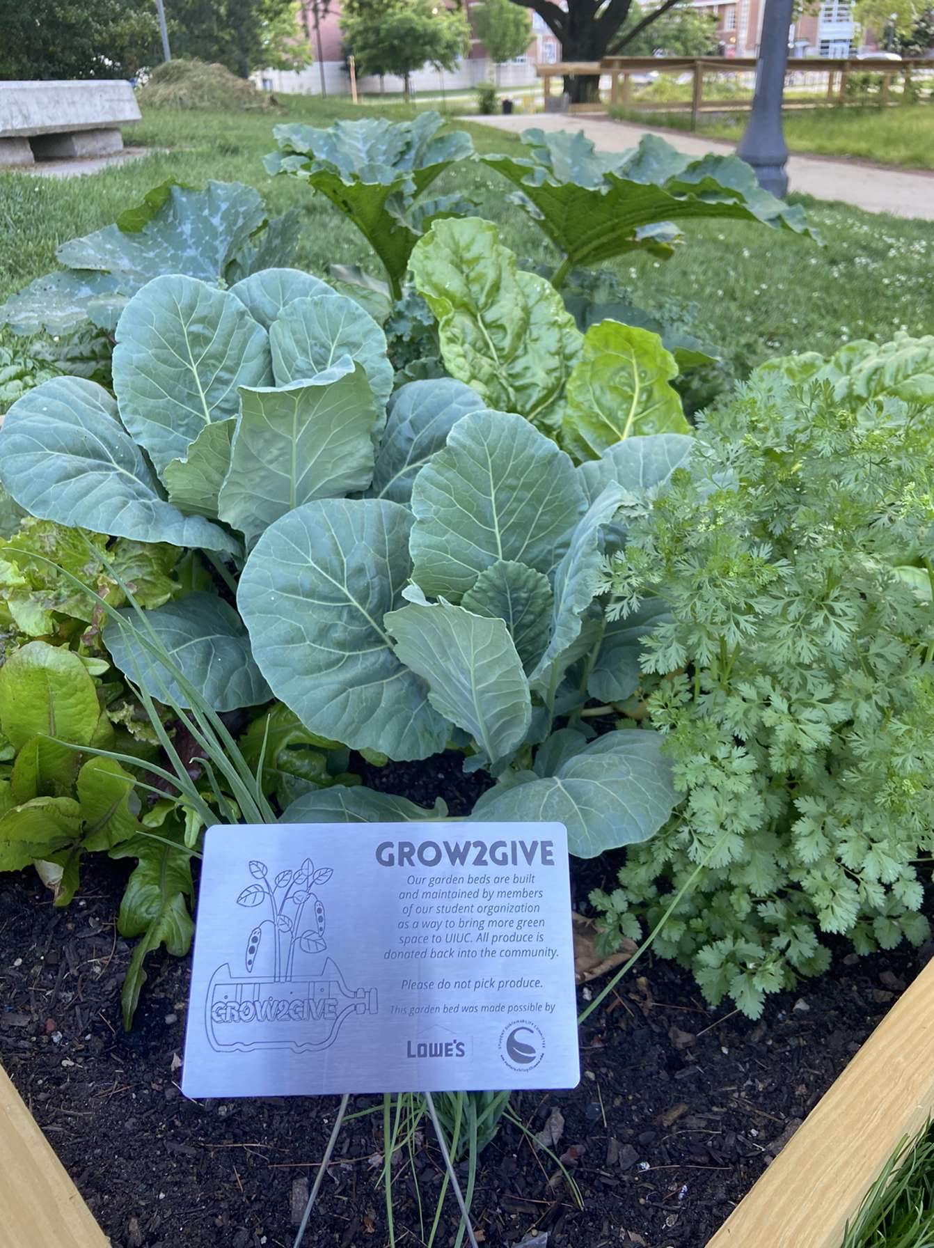 garden