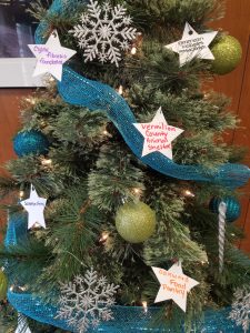Fairmount tree