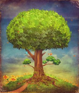 large tree