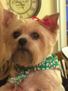 Marsha's dog