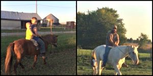 gretchen-horses