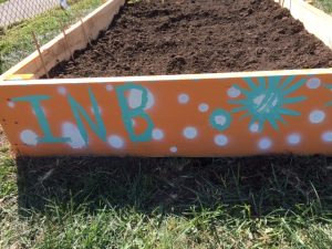 raised gardens