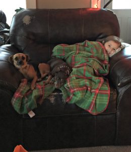 Amanda Donley, pet adoptions