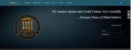 Bauer Financial home page image