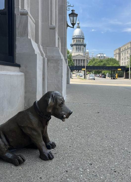 Fido waiting outside of INB