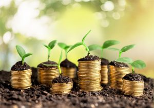 coins growing